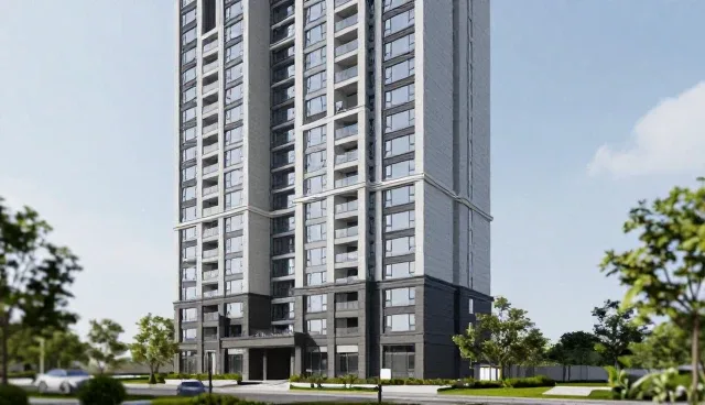 代码优化在技术外包项目中的实践与维护建议